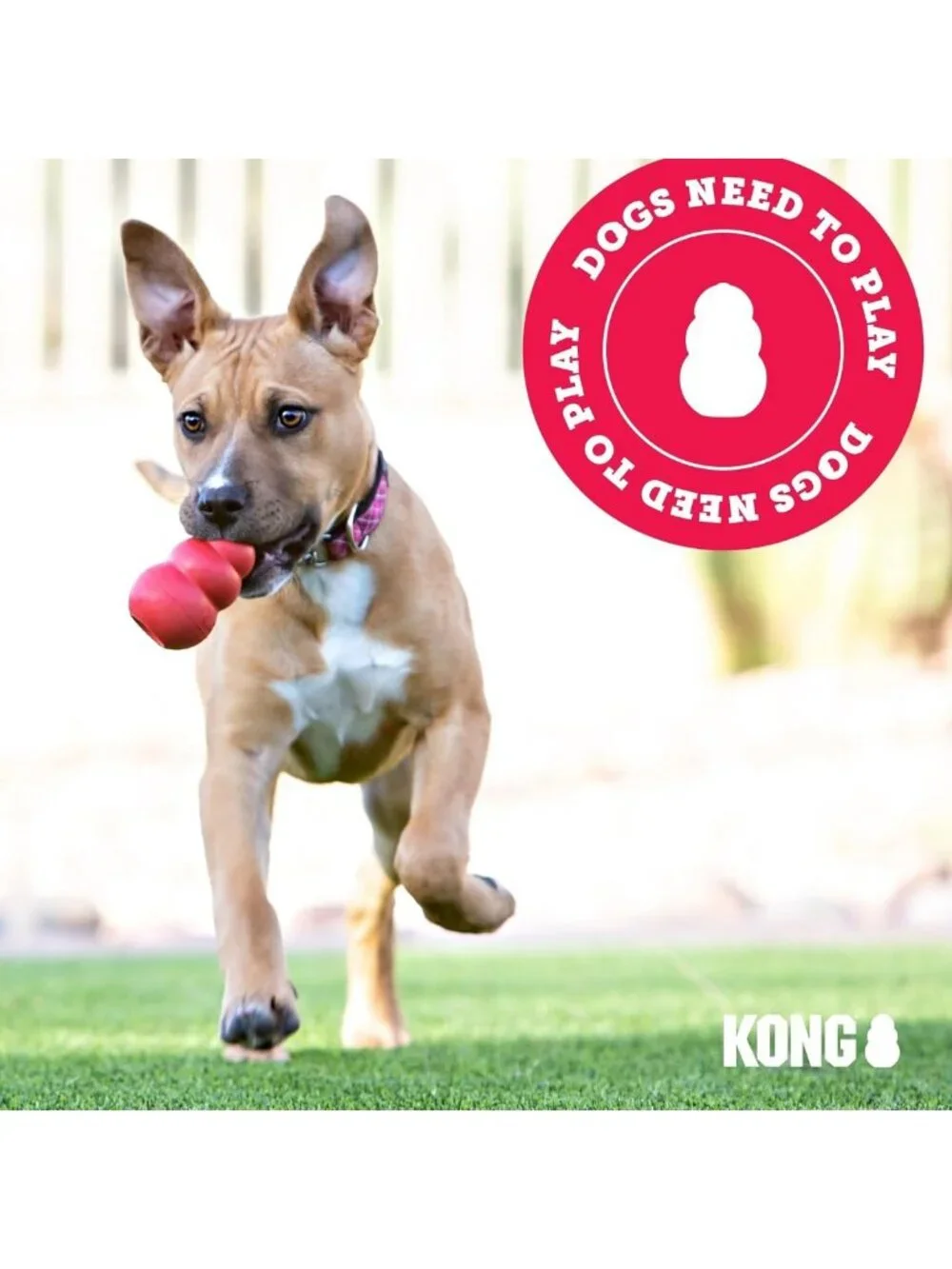 Durable Plush Dog Toy with Knotted Ropes & Minimal Stuffing - Assorted Colors